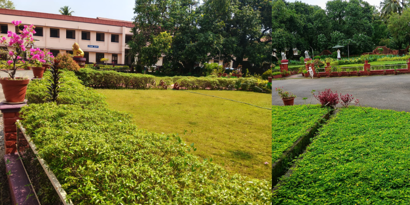 Mercy College About Us