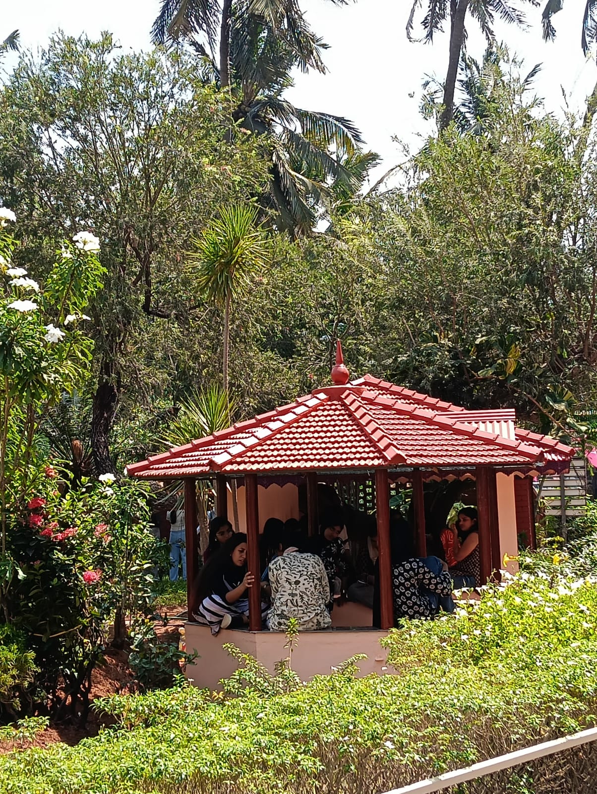 Mercy College About Us