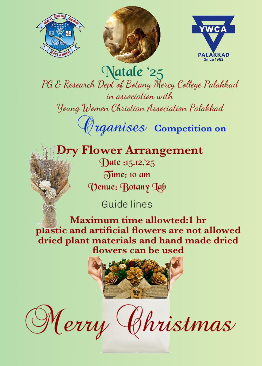 NATALE 25 - DRY FLOWER ARRANGEMENT