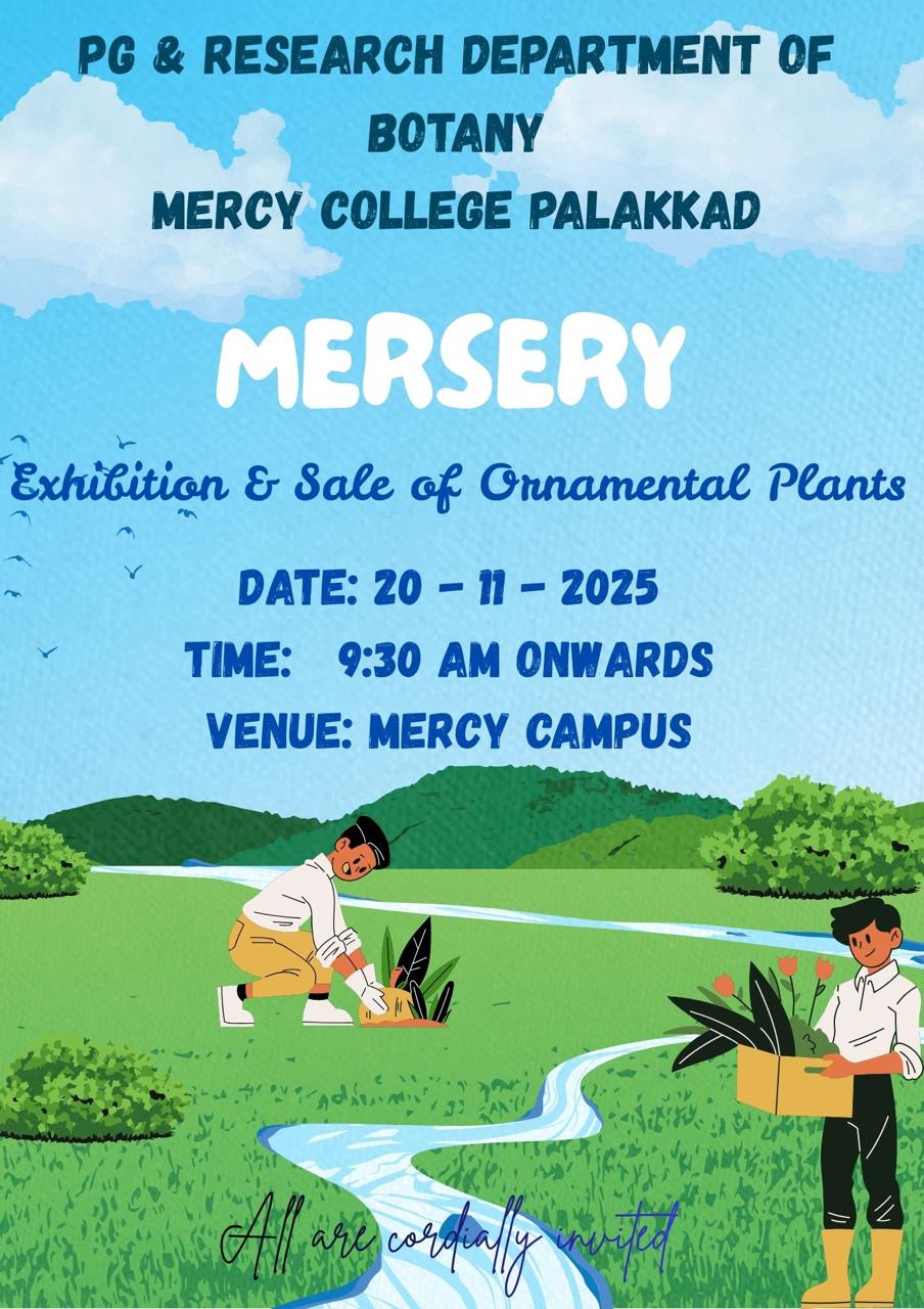Mersery - a sale on plants