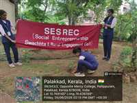 Tree saplings - planted in the campus